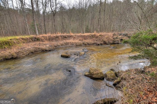 1175 Lickskillet Circle, Epworth, GA 30541