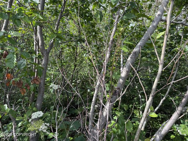 8400 George Court, Anchorage, AK 99516