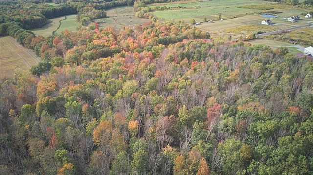 6571 Stagecoach Road, Conesus, NY 14435