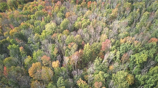 6571 Stagecoach Road, Conesus, NY 14435