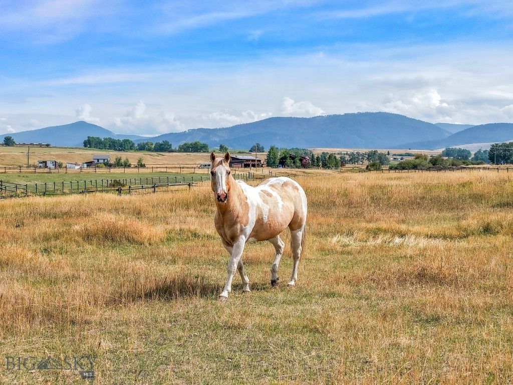 11400 Gooch Hill Road, Gallatin Gateway, MT 59730 photo 86