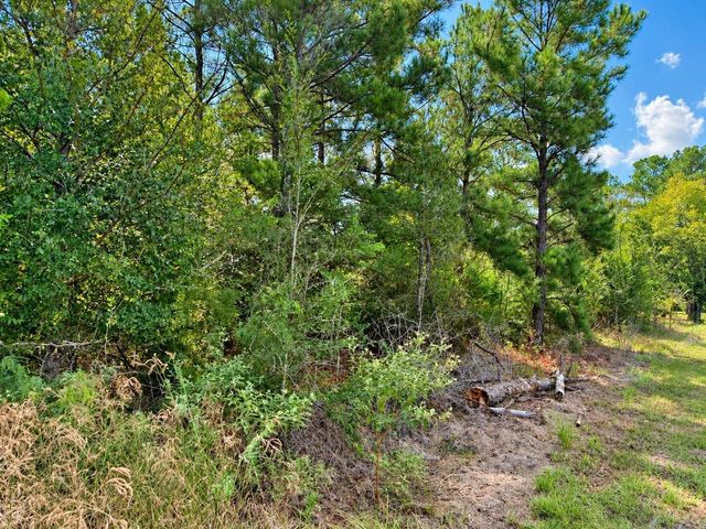 TBD Oakwood Drive, Huntsville, TX 77320