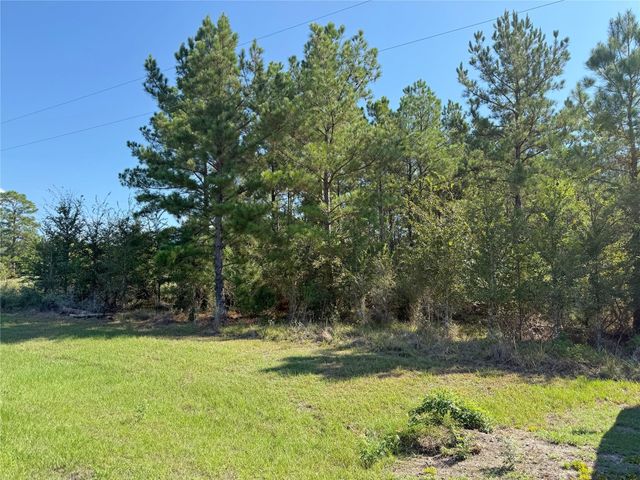 TBD Oakwood Drive, Huntsville, TX 77320