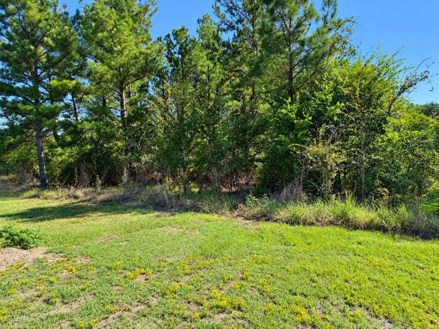 TBD Oakwood Drive, Huntsville, TX 77320
