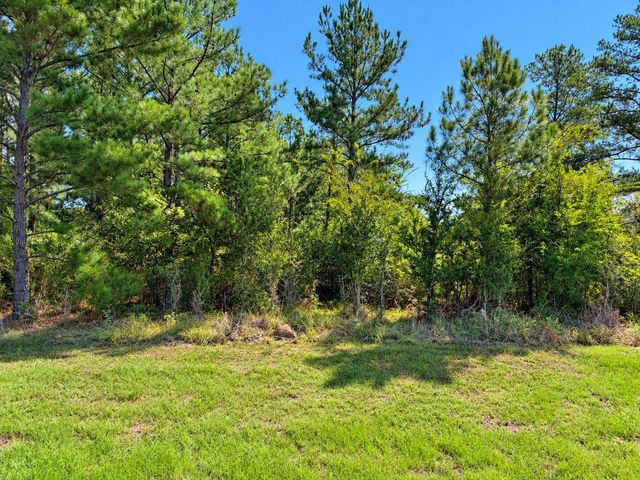 TBD Oakwood Drive, Huntsville, TX 77320