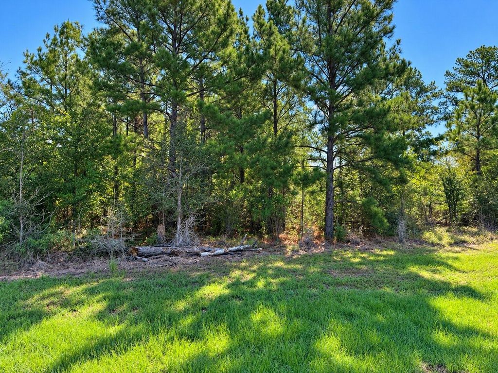 TBD Oakwood Drive, Huntsville, TX 77320