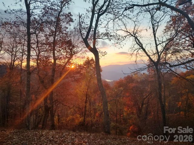 415 Treetop Lane, Waynesville, NC 28785