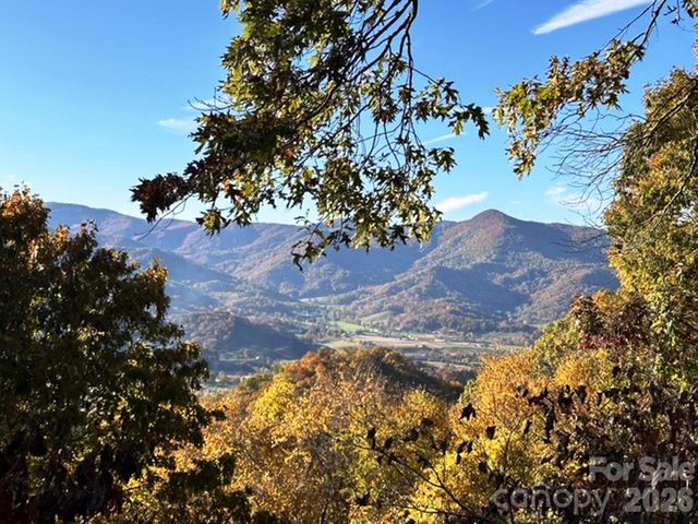 415 Treetop Lane, Waynesville, NC 28785