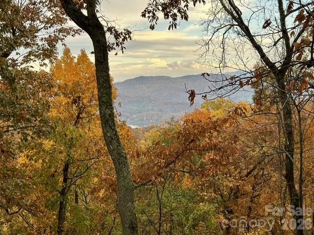 415 Treetop Lane, Waynesville, NC 28785