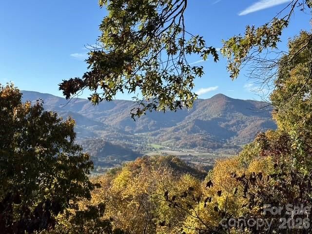 415 Treetop Lane, Waynesville, NC 28785