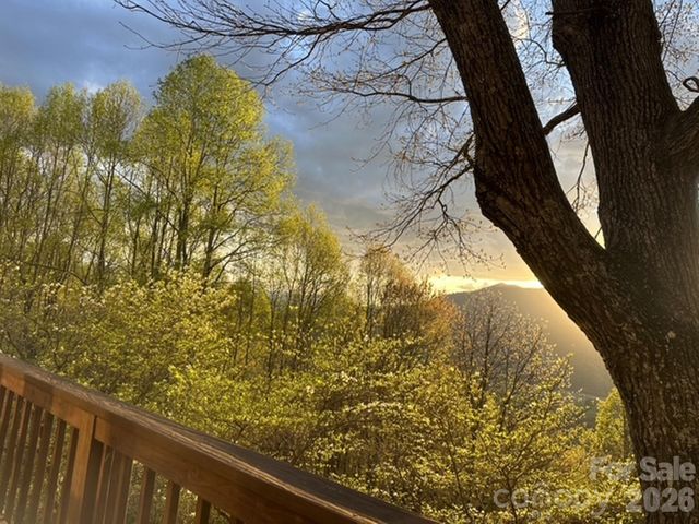 415 Treetop Lane, Waynesville, NC 28785