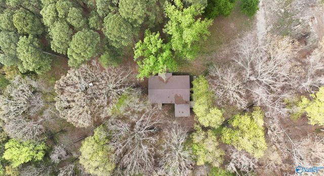 15902 Alabama Highway 168, Albertville, AL 35951