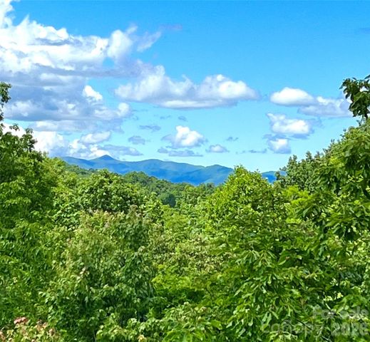 123 Isuhdavga Court, Brevard, NC 28712