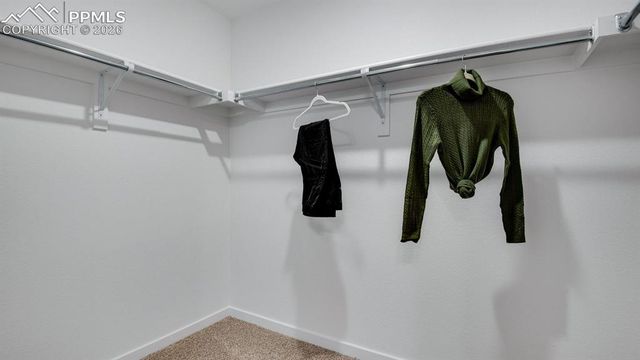 3602 Glenna Place, Colorado Springs, CO 80907