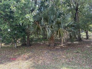 E ELM DRIVE, Orange City, FL 32763