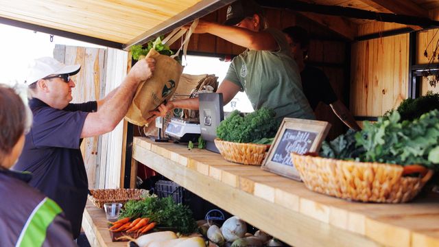 124 Ginger Garlic Loop, Richmond, TX 77406