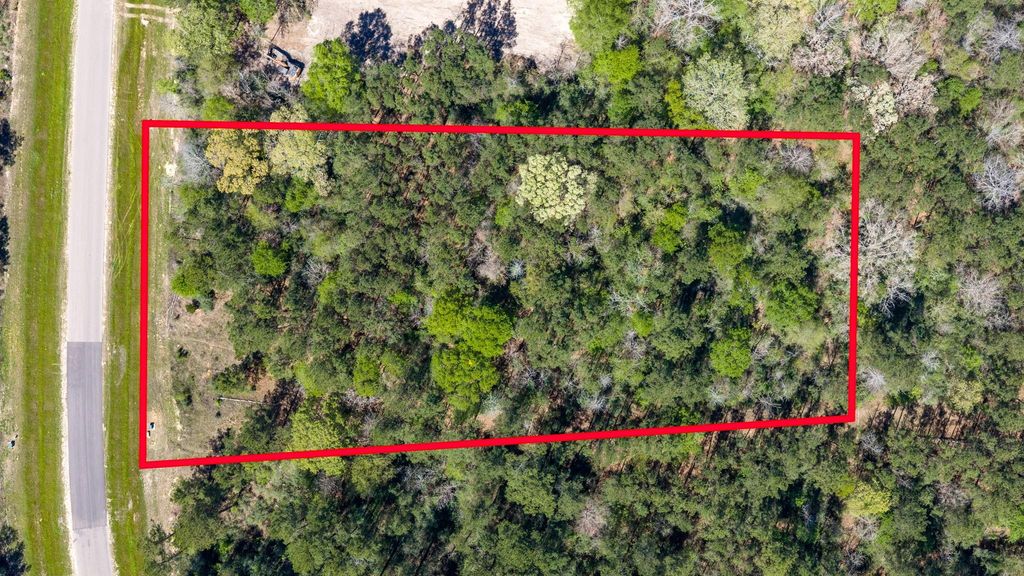 15824 Wood Grove Way, Willis, TX 77378
