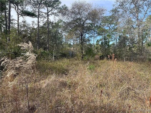 11381 S ROSEWATER POINT, Homosassa, FL 34446