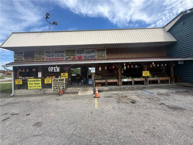 35 Blue Mountain Road, Morganton, GA 30560