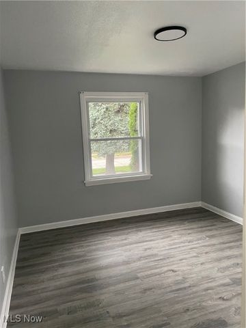 21050 N Vine Avenue, Euclid, OH 44119