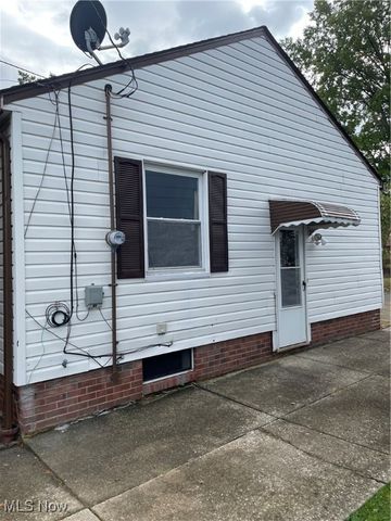 21050 N Vine Avenue, Euclid, OH 44119