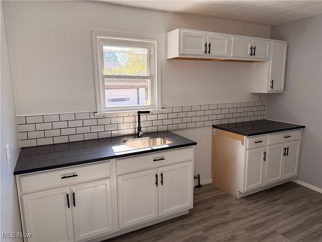 21050 N Vine Avenue, Euclid, OH 44119