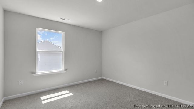 310 Hartfield Avenue, Raeford, NC 28376