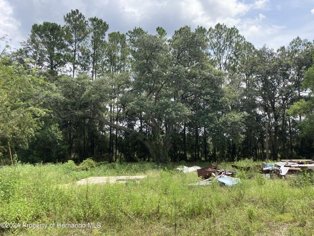 3450 Burwell Road, Webster, FL 33597