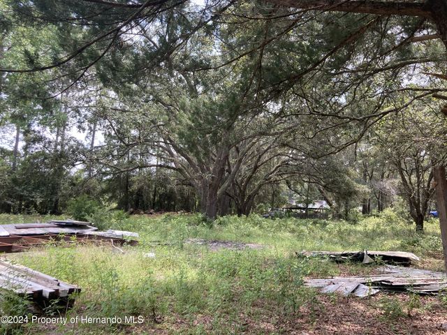 3450 Burwell Road, Webster, FL 33597