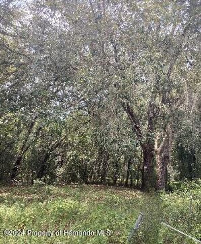 3450 Burwell Road, Webster, FL 33597