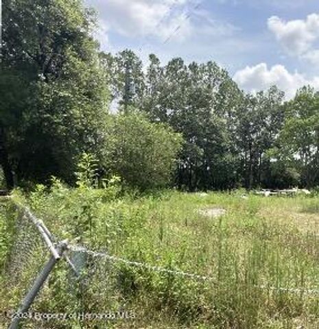 3450 Burwell Road, Webster, FL 33597