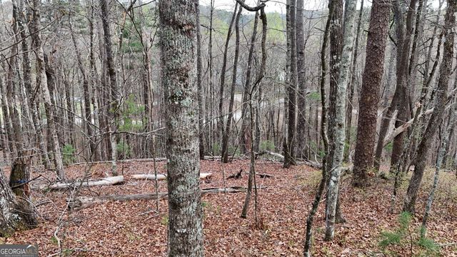 LOT 8 Settlement Lane, Tiger, GA 30576