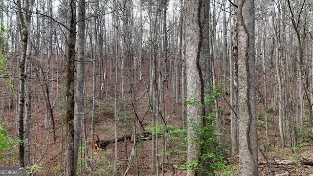 LOT 8 Settlement Lane, Tiger, GA 30576