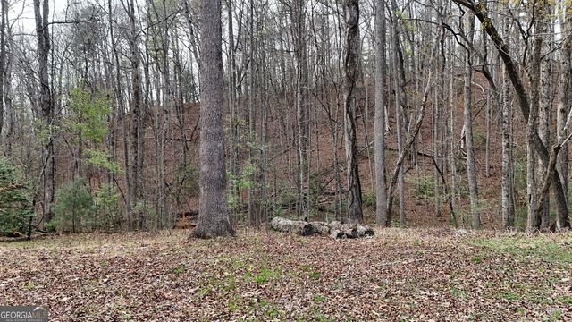 LOT 8 Settlement Lane, Tiger, GA 30576
