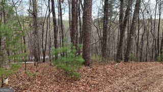 LOT 8 Settlement Lane, Tiger, GA 30576