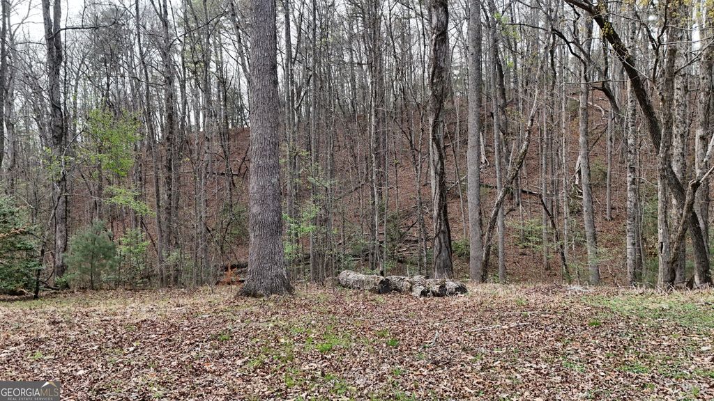 LOT 8 Settlement Lane, Tiger, GA 30576 — photo 5