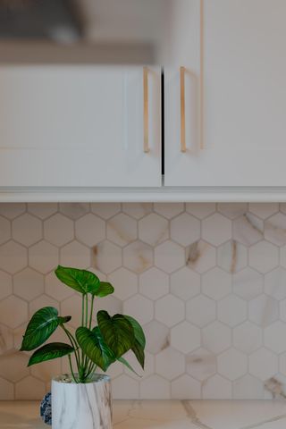 3648 Beulah Park Drive, Grove City, OH 43123