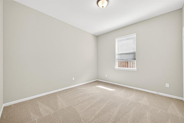9975 Enclave Grove Drive, Willis, TX 77318