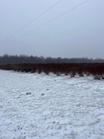 6892 56th Street, Grand Junction, MI 49056