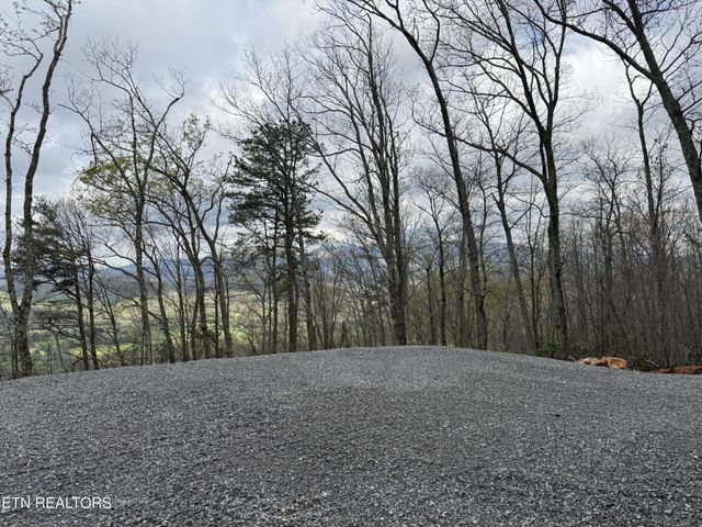 393 Green Forest Rd, Cosby, TN 37722