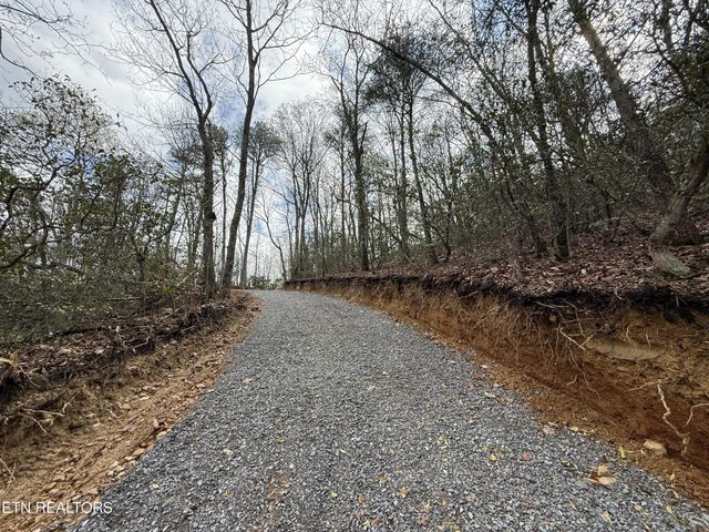 393 Green Forest Rd, Cosby, TN 37722