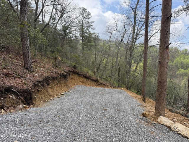 393 Green Forest Rd, Cosby, TN 37722
