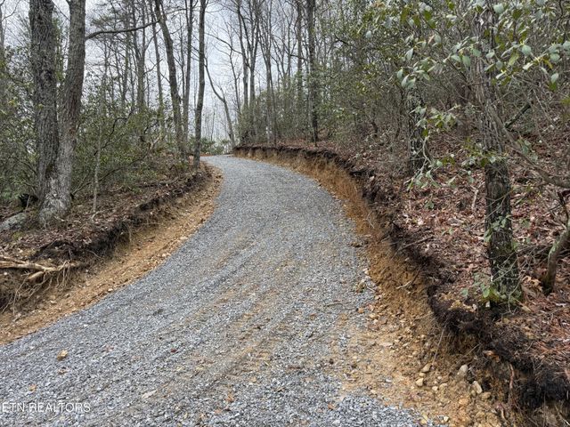 393 Green Forest Rd, Cosby, TN 37722
