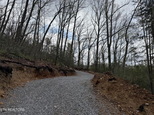 393 Green Forest Rd, Cosby, TN 37722