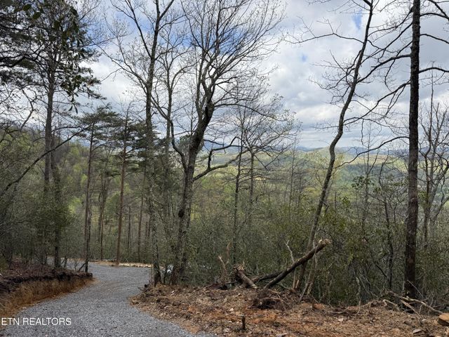393 Green Forest Rd, Cosby, TN 37722