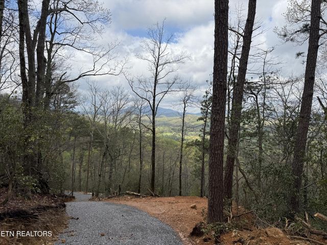 393 Green Forest Rd, Cosby, TN 37722