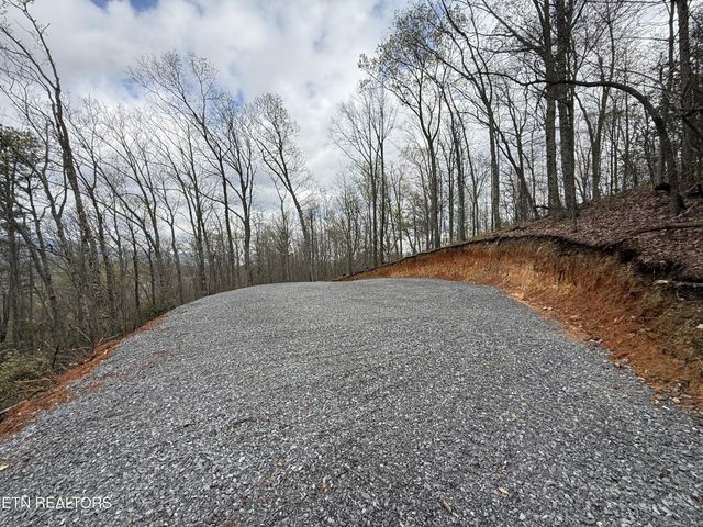 393 Green Forest Rd, Cosby, TN 37722