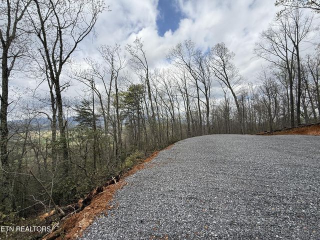 393 Green Forest Rd, Cosby, TN 37722