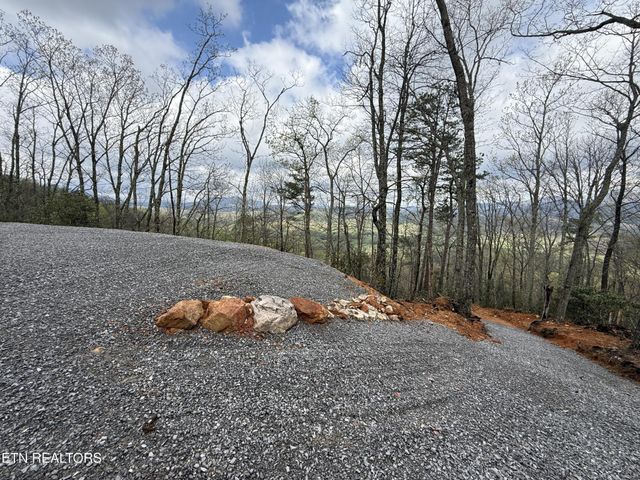 393 Green Forest Rd, Cosby, TN 37722