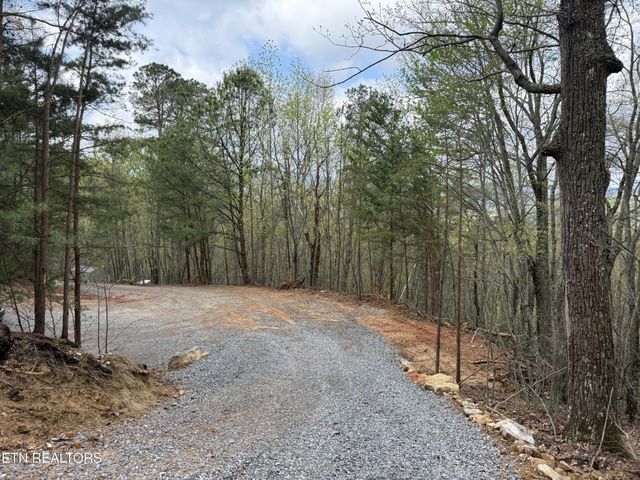 393 Green Forest Rd, Cosby, TN 37722
